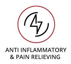 Anti Inflamatory Icon - Home