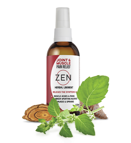 ZEN Liniment ddsprayl - Zen Herbal Liniment Spray & Gel